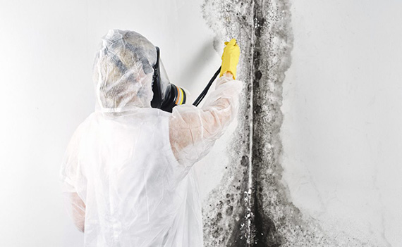 Cleaning Mold